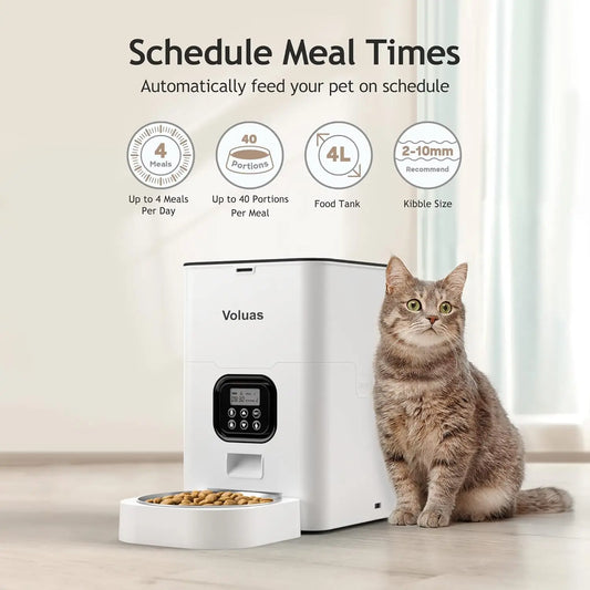 Time to Eat Automatic Pet Food Dispenser